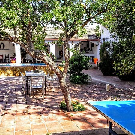 Alojamiento Rural El Cortijuelo Hotel Illora Екстериор снимка